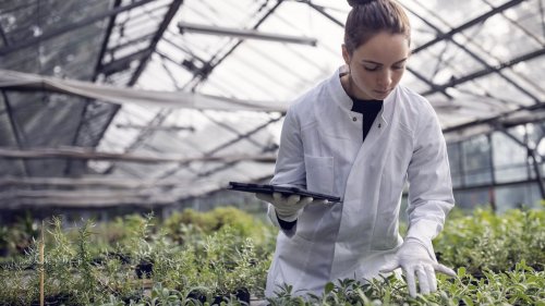 female-agricultural-engineer-working-in-a-greenhouse