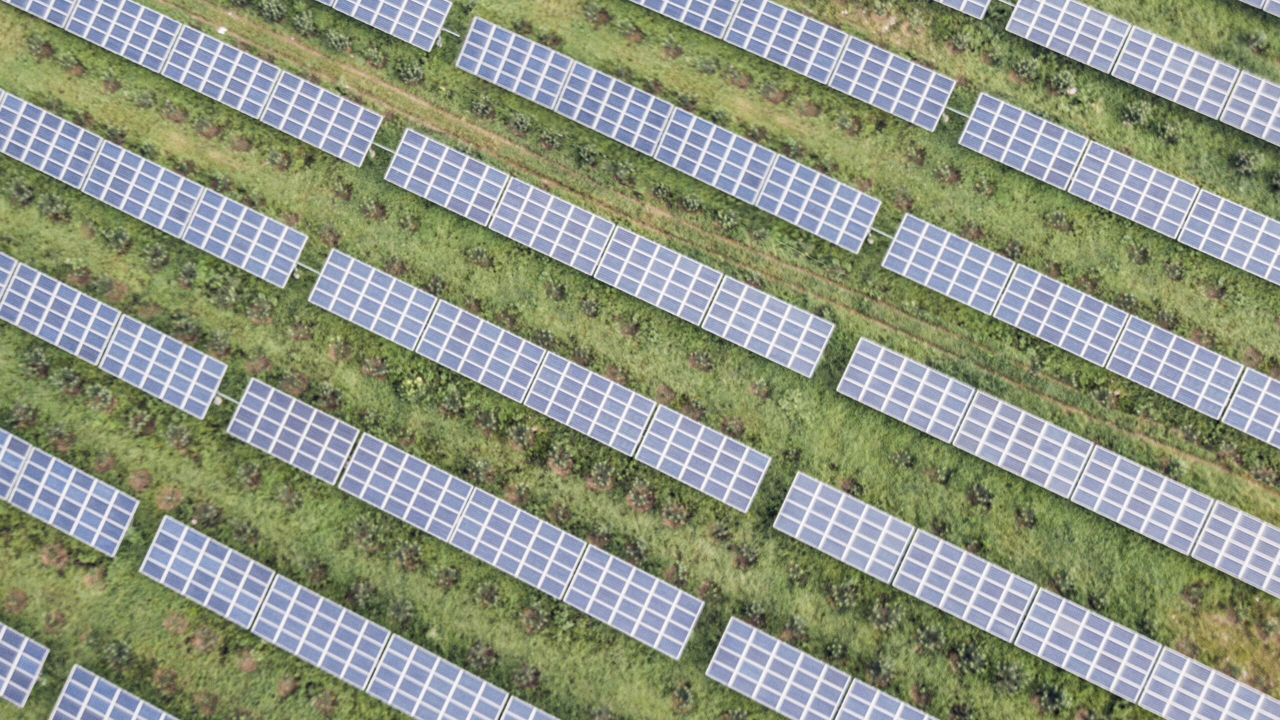 Solar plant - sustainable advisory