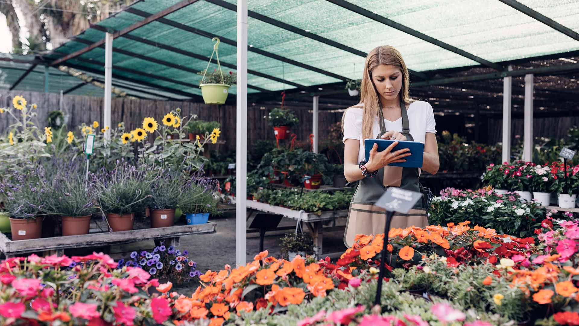 Woman looking at a tablet in an outside flower store