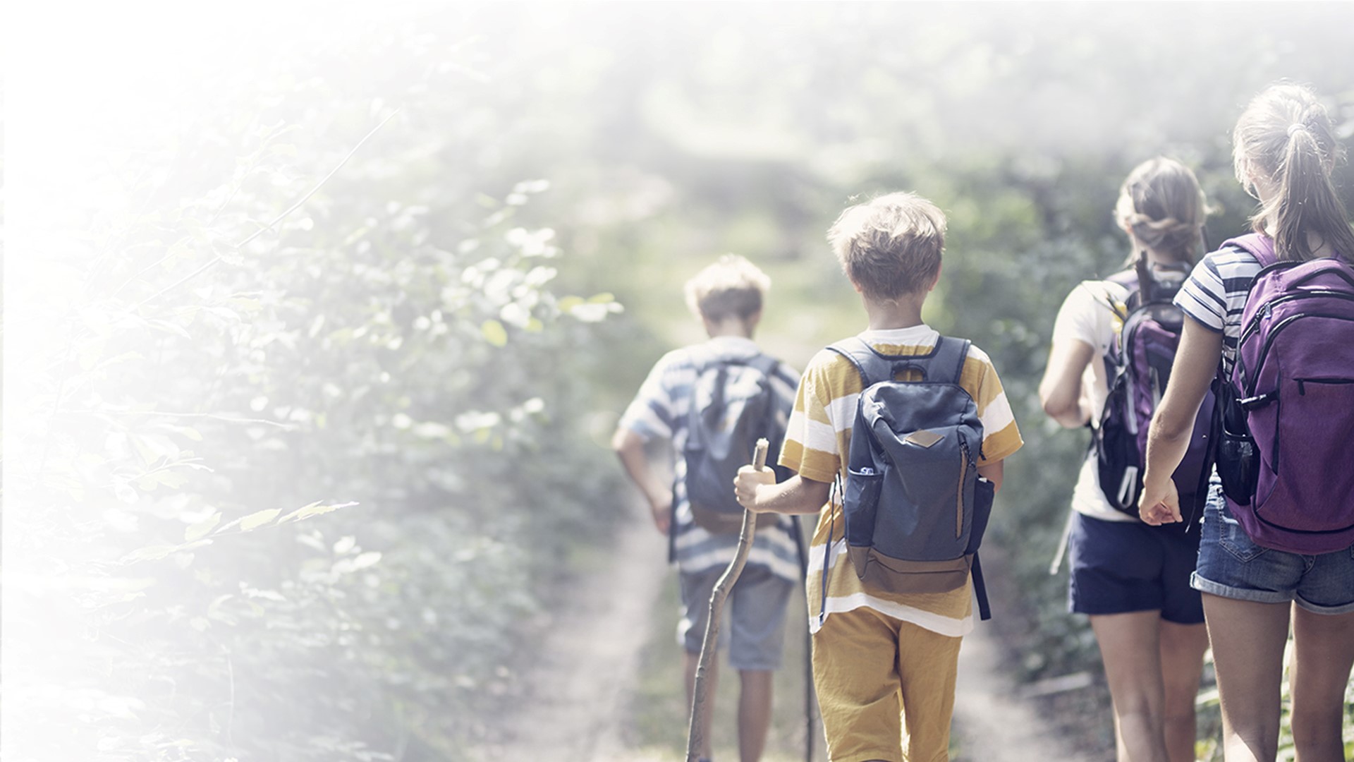 Nordea leading Nordic universal bank Nordea