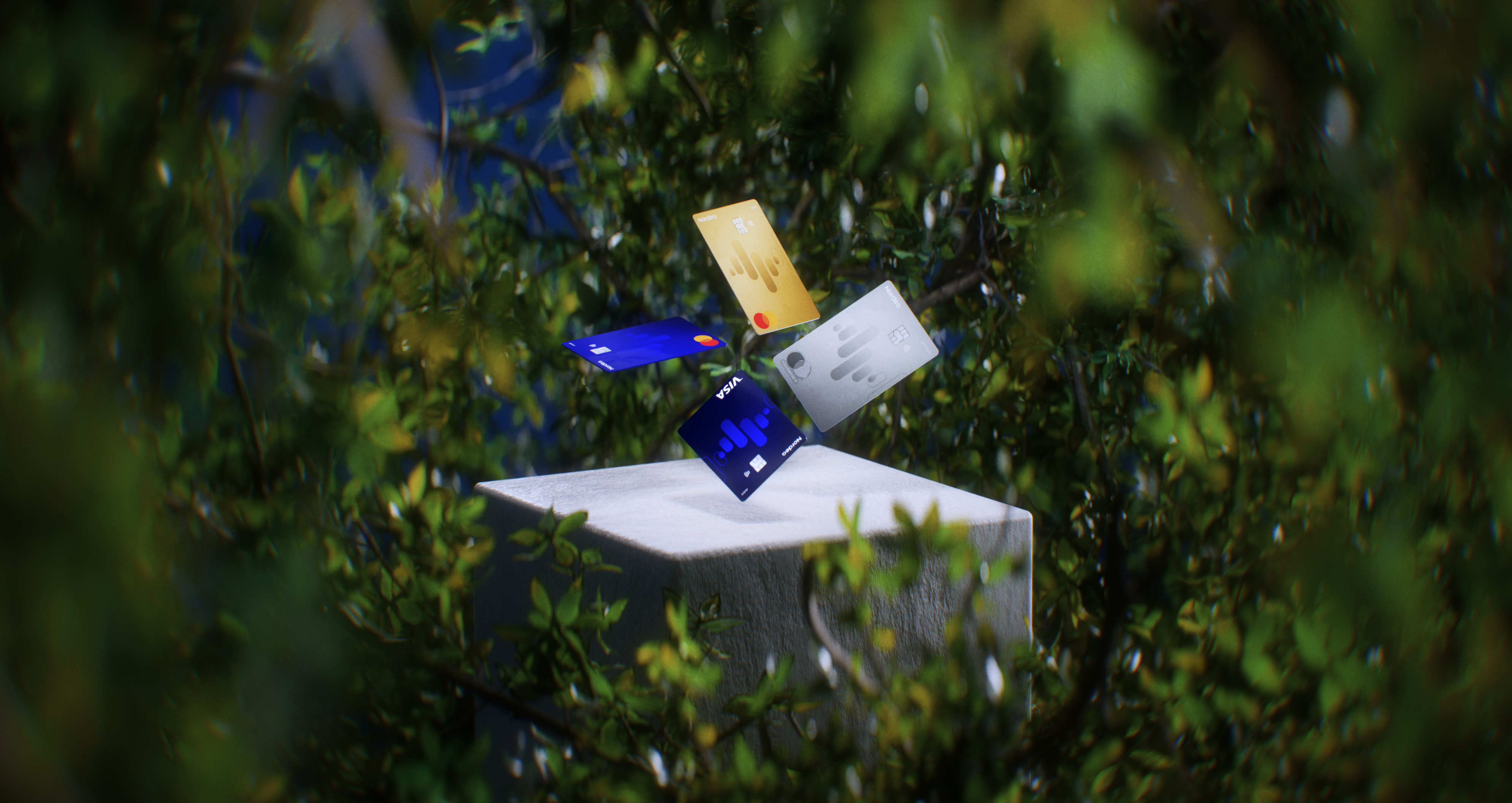 cards in forest