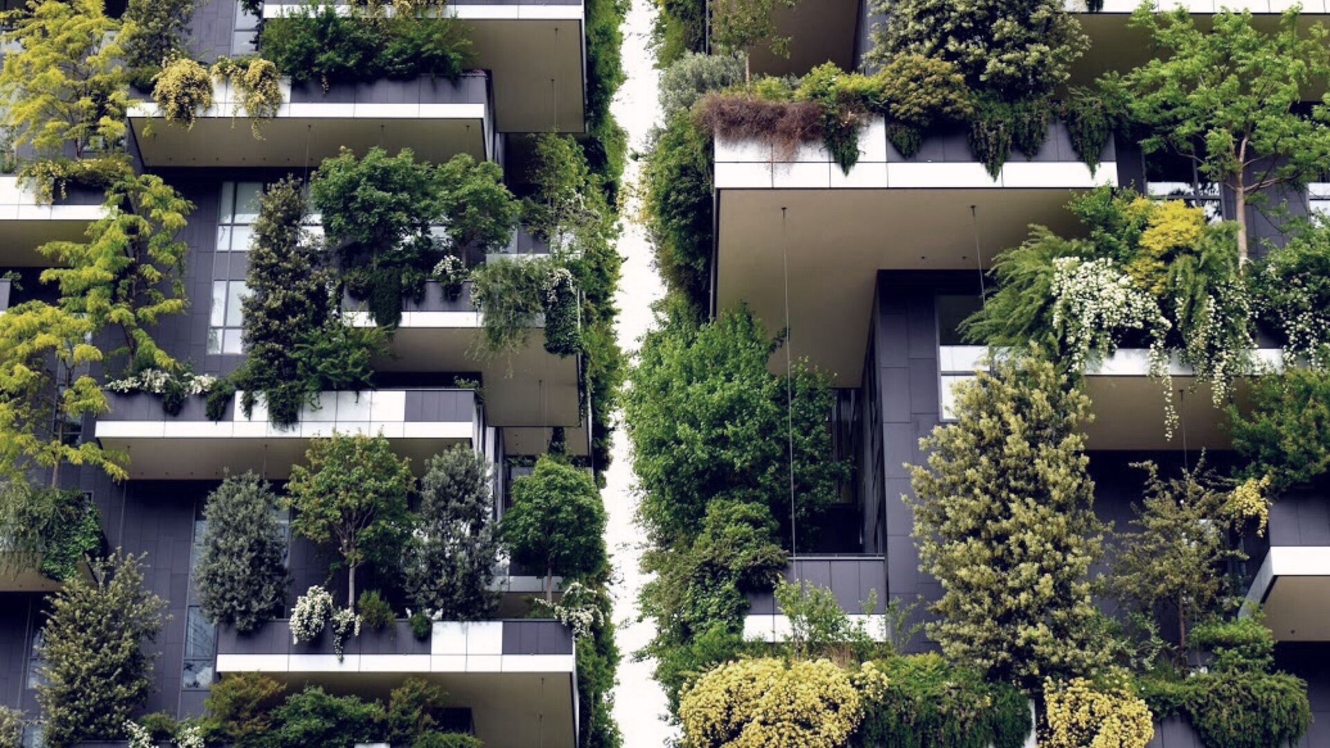 Green neighbourhood