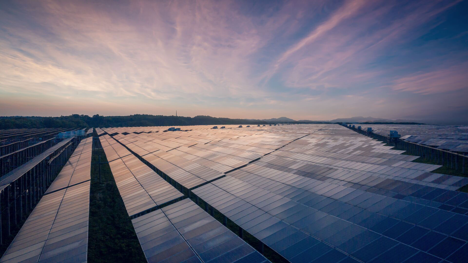 Solar panel park in sunset