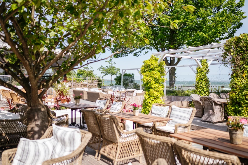Chairs in garden