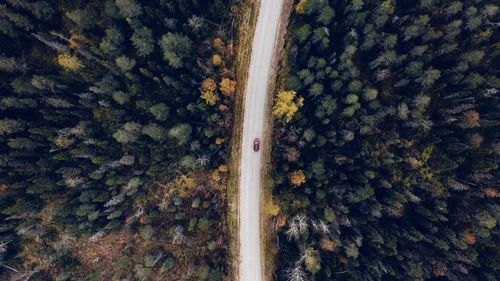 Aerial view of rural road in yellow and orange autumn forest