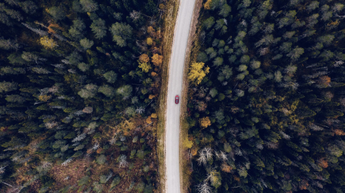 Aerial view of rural road in yellow and orange autumn forest
