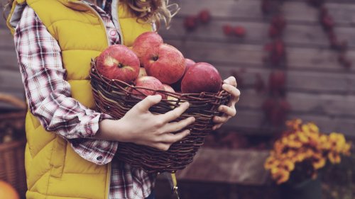 Girl holding wicker basket with apples