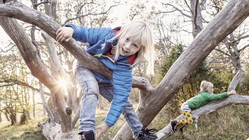 Happy children climbing in trees