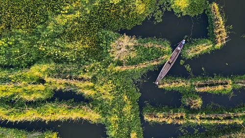 man-on-a-boat-navigating-in-the-floating-garderns-of-inle-lake-shan-state-myanmar