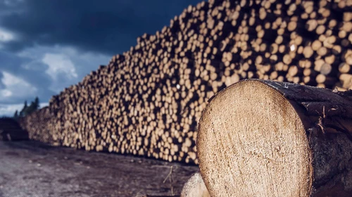 pile-of-lumber