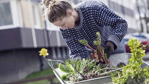 woman-gardening
