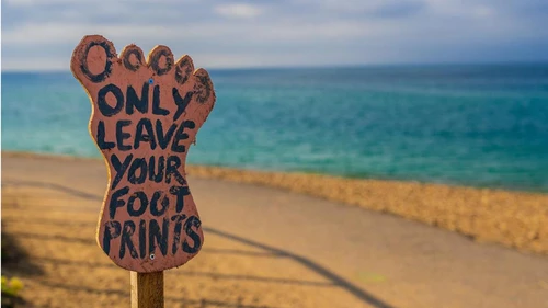 Foot in desert