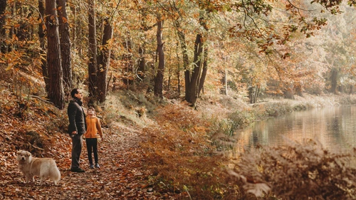 Father and son in autumn woods with dog 