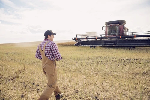  Name original_web_optimized-farmer-walking-toward-combine-harvester-