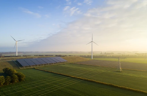 Windmills and green field