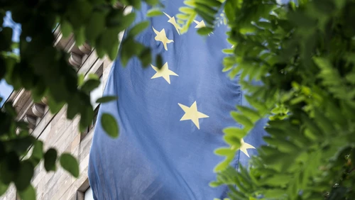 EU_flag_trees_1920x1080