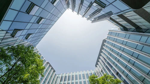 skyscrapers_trees