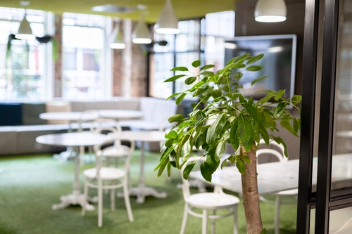 Helsinki Headquarters foodmarket green tree