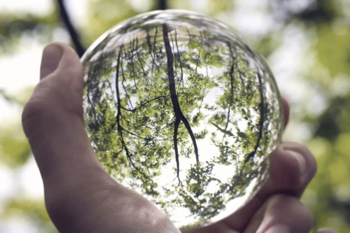 Hand holding crystal ball in forest