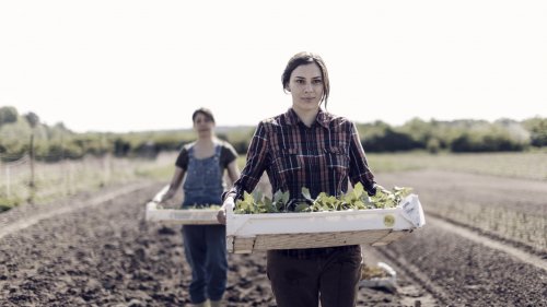 Female farmers with young plants