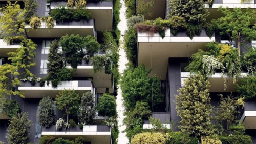 Potted plants on balcony against building in Milan, Italy