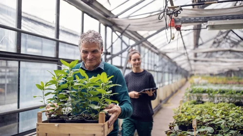 Male customer purchasing plants from garden center