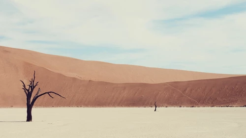 Desert