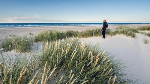 Young woman hiking in coastal sand dune