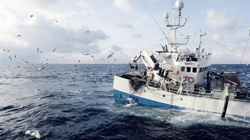 Fisher boat