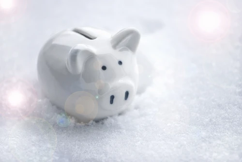 Piggy bank