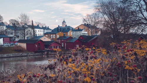 Plants and houses against sky during autumn