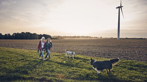 Two women walking in a field with two dogs