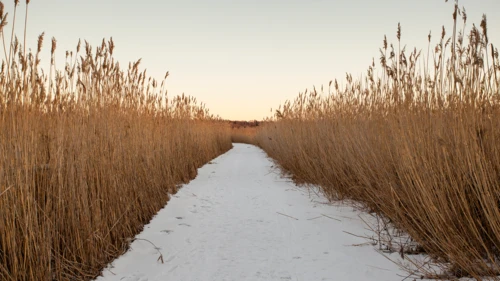 Footpath covered in snow, Finland