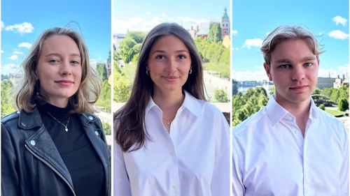 2024_SEinterns_ebba_anna_henrik_snip.png