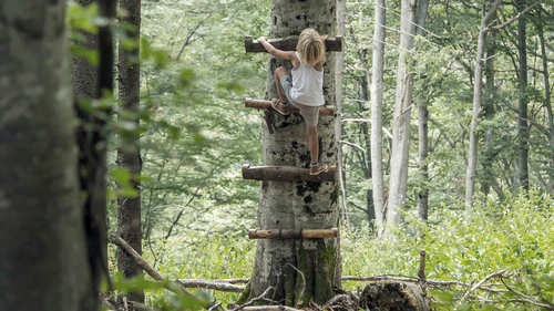 Boy climbing up steps on tree