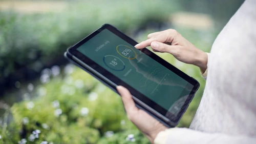 Gardener using digital tablet for information about new plants