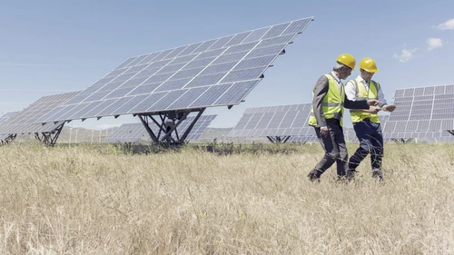 Two men walking in solar panel field