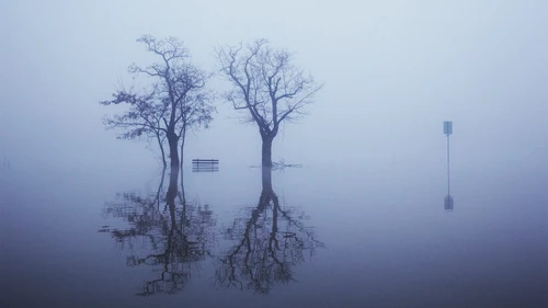 Flooding of the river Rhine