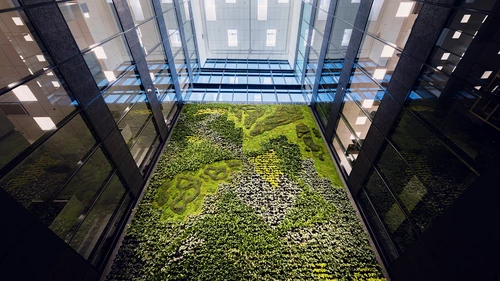 a green wall in an office building