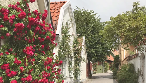 gata i visby