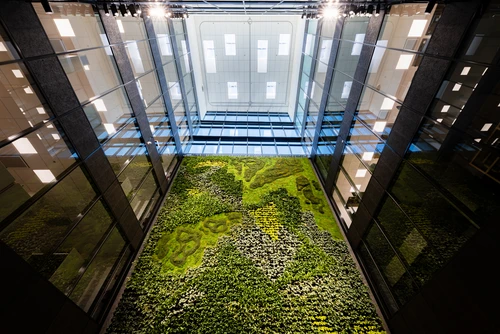 The green wall in headquarters in Finland