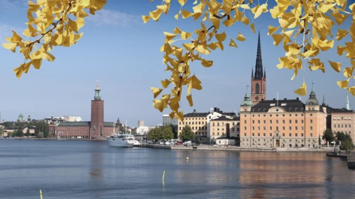 Stockholm city skyline in Sweden. Riddarholmen and Kungsholmen islands waterfront view.- Autumn leaves - autumn season view.