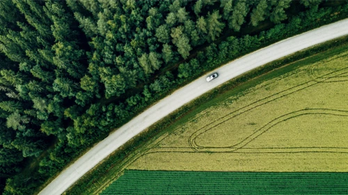 Aerial view of car driving on road along the green forest and potato with yellow rapeseed fields