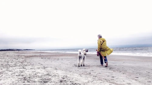 Senior med hund på strand