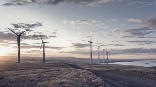 Wind turbines by the sea.