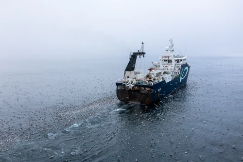 Norwegian Wildfish, brønnbåt