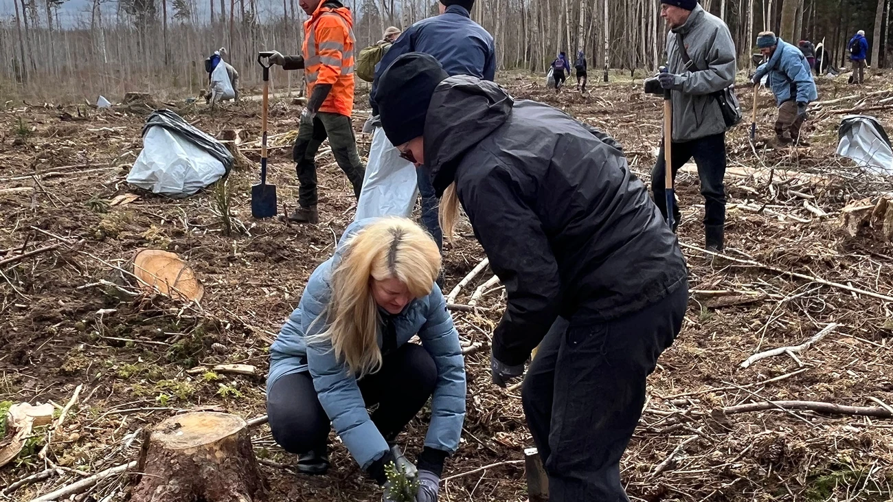 Nordea colleagues at Tree Plating Day in Estonia