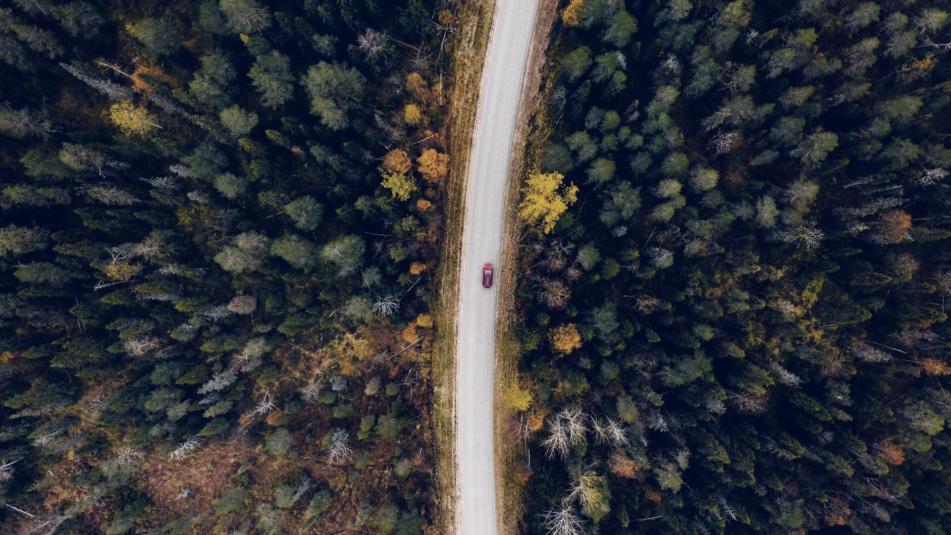 Aerial view of rural road in yellow and orange autumn forest