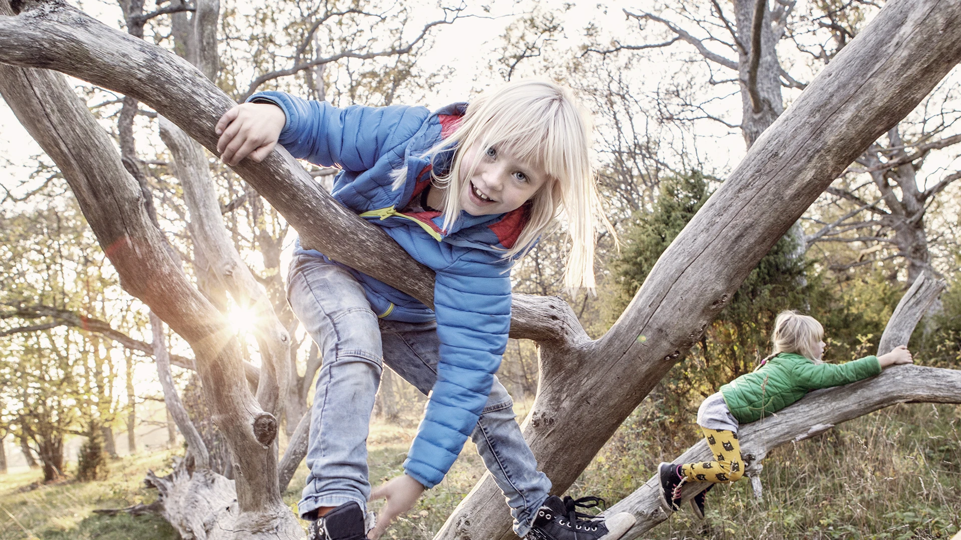 Happy children climbing in trees