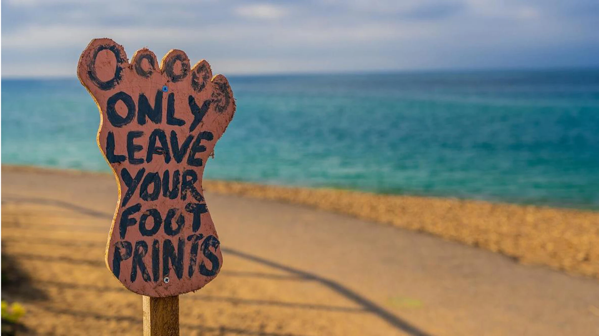 Foot in desert